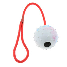 Durable Cotton Rope Pet Dog Puppy Chew Ball Dog Interactive Rubber Balls Toy for Fetching and Playing Pet Tooth Cleaning Supplie