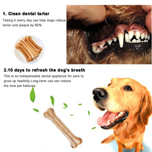 2021 New Dog Toys Bones Pet Chew Toothbrush Small Large Dogs Cowhide Treats Puppy Chewing Bone Toy For Dental Care Accessories