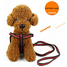 Large Dogs Cats Leash Elastic Pet Cat Puppy Dog Leash Anti Dash Pull Dog Lead Leash 190cm Retractable Leash for Dogs Collar