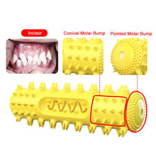 Dog Molar Tooth Stick Puppy Dental Care Dog Molar Toothbrush Pet Supplies Durable Dog Chew Toy