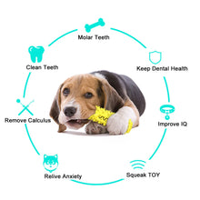 Dog Molar Tooth Stick Puppy Dental Care Dog Molar Toothbrush Pet Supplies Durable Dog Chew Toy