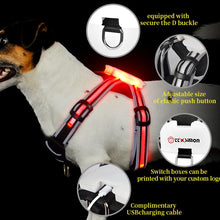 LED Dog Harness Pet Rechargeable Adjustable Flashing Waterproof Collar Night Anti-Lost Dog Light Harness luminous dog collar