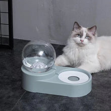 New 1.8L Bubble Pet Bowls Food Automatic Feeder Fountain Water Drinking for Cat Dog Kitten Feeding Container Pet Supplies