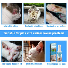 Itch and Irritation Relief Suitable for cats, Dogs or Other Pets Skin Care Spray Pet Wound and Skin Care Spray