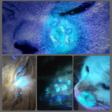 365 UV Veterinary Wood Lamp Pet Fungus Detection Waterproof Flashlight Skin Ultraviolet Light Cat Moss Tinea Light Black Mirror