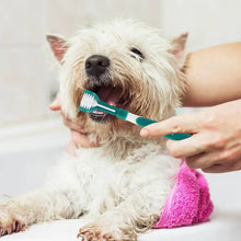 Pet Toothbrush Kit Dental Care Three Sided Soft Rubber Bristles Teeth Cleaning Toothbrush Teeth Care Dog Cat Cleaning Toothbrush