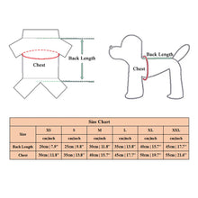 Cartoon Bear Dog Hoodies Lovely Pet Dogs Clothes For Small Medium Dogs Autumn Winter Puppy Sweatshirt Chihuahua Teddy T Shirt