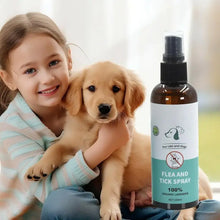 Dog Perfume 100ml Mild And Natural Pet Spray Dog Deodorizing Spray To Relieve Skin Redness Dog Itching Skin Relief Spray Remove