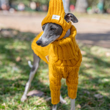 Warm Autumn Pet Sweater Stylish Turtleneck Italian Greyhound Clothes Whippet Clothing