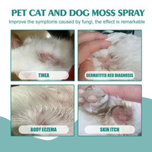 Cat And Dog Skin Problems Pet Moss Spray 30ml Pet Cleaning Care Anti-Itch Spray Provide Instant Relief Pet Healthy Care Supplies