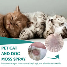 Cat And Dog Skin Problems Pet Moss Spray 30ml Pet Cleaning Care Anti-Itch Spray Provide Instant Relief Pet Healthy Care Supplies