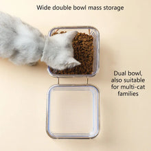 Cat Double Bowl New with Stand Pet Kitten Puppy Transparent Food Feeding Dish Metal Elevated Water Feeder Dog Bowl Supplies