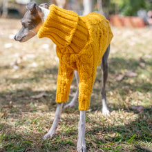 Warm Autumn Pet Sweater Stylish Turtleneck Italian Greyhound Clothes Whippet Clothing