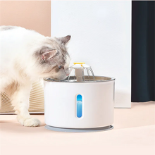 Pet Cat Water Fountain Dog Drinking Bowl USB Automatic Water Dispenser Super Quiet Drinker Auto Feeder Pet Products Supplies