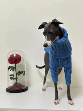 Warm Winter Pet Thickened Sweater Stylish Turtleneck Italian Greyhound Clothes Whippet Clothes