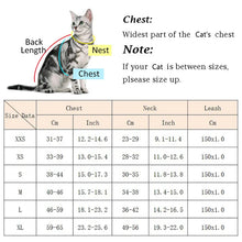 Luxury Upgrade Cat Puppy Harness and Leash Sets Winter Warm Pet Reflective Harnesses Vest for Cats Kitten Small Dogs Yorkshire