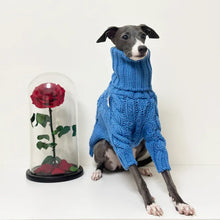 Warm Winter Pet Thickened Sweater Stylish Turtleneck Italian Greyhound Clothes Whippet Clothes