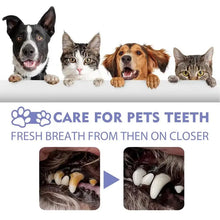 60ml Pet Spray Dog Oral Care Bad Breath Teeth Cleaning Freshener Oral Spray Safe Pets Fresh Breath Dental Spray For Dog And Cats