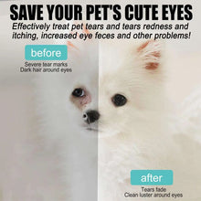 20ml Pet Eye Drops Dogs Cats Eyes Tear Stain Remover Dirt Eliminate Bactericidal Cleaner Kitten Eye Care Cleaner Pet Supplies