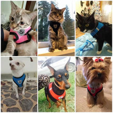 Mesh Dog Harness Clothes Vest Chest Cat Collars Rope Small Dogs Reflective Breathable Adjustable Outdoor Walking Pet Supplies