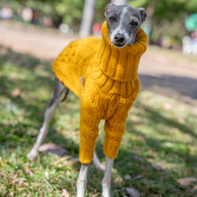 Warm Autumn Pet Sweater Stylish Turtleneck Italian Greyhound Clothes Whippet Clothing