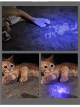 365 UV Veterinary Wood Lamp Pet Fungus Detection Waterproof Flashlight Skin Ultraviolet Light Cat Moss Tinea Light Black Mirror