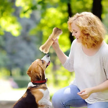 Dog Teething Bone Beef Flavor Puppy Chew Bone Safe Molar Teeth Clean Stick Food Treats Dogs Bones For Puppy Accessories