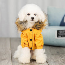 Wholesale Luxury Pet Clothes Fashion Popular Dog Clothes Winter Pet Jacket For Puppy Teddy Hoodie Cat Dog Coat