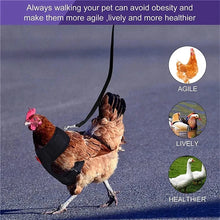 Pet Duck Chicken Poultry Chicken Clothes Chicken Vest Hen Belt Pet Harness Matching Collars Bow Poultry Supplies