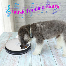 24 Hours Pet Automatic Feeder  6 Grids Electric Dry Wet Food Dispenser With Voice Recorder Round Timing Feeder For Cat Dog Pet