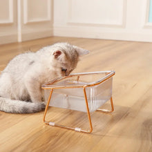 Cat Double Bowl New with Stand Pet Kitten Puppy Transparent Food Feeding Dish Metal Elevated Water Feeder Dog Bowl Supplies