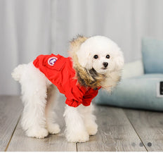 Wholesale Luxury Pet Clothes Fashion Popular Dog Clothes Winter Pet Jacket For Puppy Teddy Hoodie Cat Dog Coat