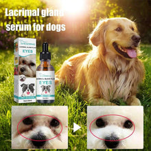 20ml Pet Eye Drops Dogs Cats Eyes Tear Stain Remover Dirt Eliminate Bactericidal Cleaner Kitten Eye Care Cleaner Pet Supplies