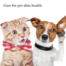 50ml FUNGIKUR Dogs and Cats Spray Applicable To Fungi, Tinea and Dandruff Pet Skin Care Prevent Infection