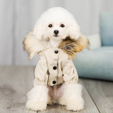 Wholesale Luxury Pet Clothes Fashion Popular Dog Clothes Winter Pet Jacket For Puppy Teddy Hoodie Cat Dog Coat