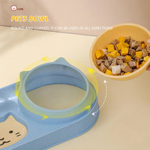 Pet Cat Bowl Automatic Feeder Dog Food Bowl with Water Fountain Double Bowl Drinking Raised Stand Dish Bowls for Cats