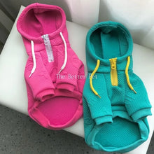 Fashion Hoodie Dog Clothes Thick Warm Dogs Clothing Pet Outfits Cat Small Cute Autumn Winter Yorkies Green Boy Ropa Para Perro