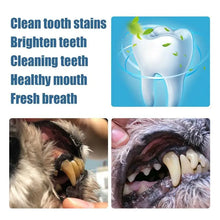 Pets Teeth Cleaning Pen Dogs Cats Natural Plants Tartar Remover Stains Dental Stones Scraper Cleaning Tools Pet Oral Care Supply