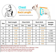 Disney Winter Autumn Dog Clothes Stitch Dumbo Cartoon Clothes for Dog Pet Clothes Hoodie Coat Chihuahua Bulldog Clothing Dogs