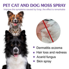 Pet Skin Care Spray Flea Lice Insect Killer Spray For Dog Cat Puppy Kitten Treatment Soothe Itching Remove Mites Eliminator 60ml