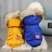 Wholesale Luxury Pet Clothes Fashion Popular Dog Clothes Winter Pet Jacket For Puppy Teddy Hoodie Cat Dog Coat